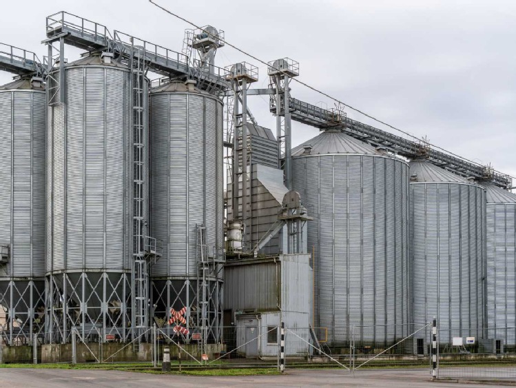 Top Farms planuje zainwestować ponad 121 milionów złotych na rozwój rolnictwa tylko w województwie wielkopolskim